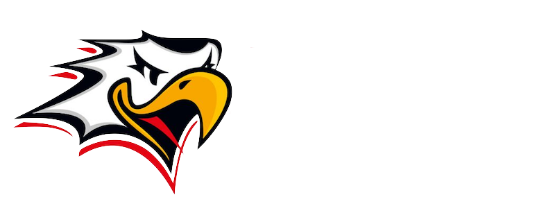 Vaasan Sport